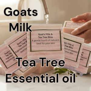 Bars of goat's milk soap infused with tea tree oil