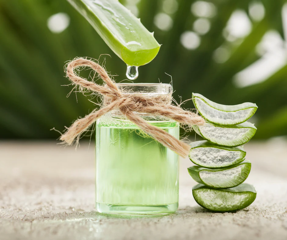 Benefit of Aloe Vera